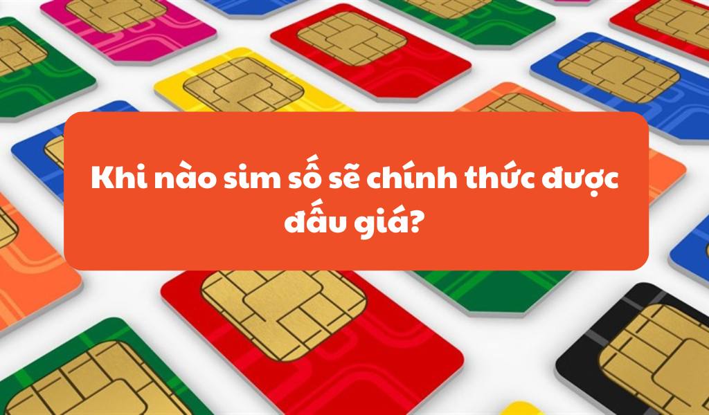 Thông tin luật đấu giá sim số đẹp gây xôn xao cộng đồng