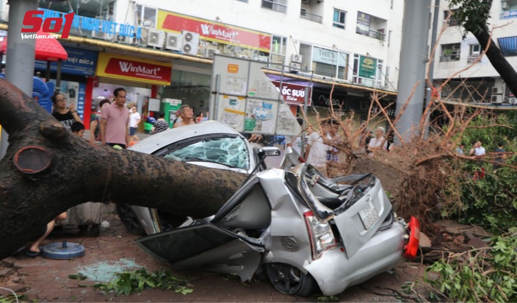 Kia Morning tại bán đảo Linh Đàm, Hà Nội bị cây đè bẹp