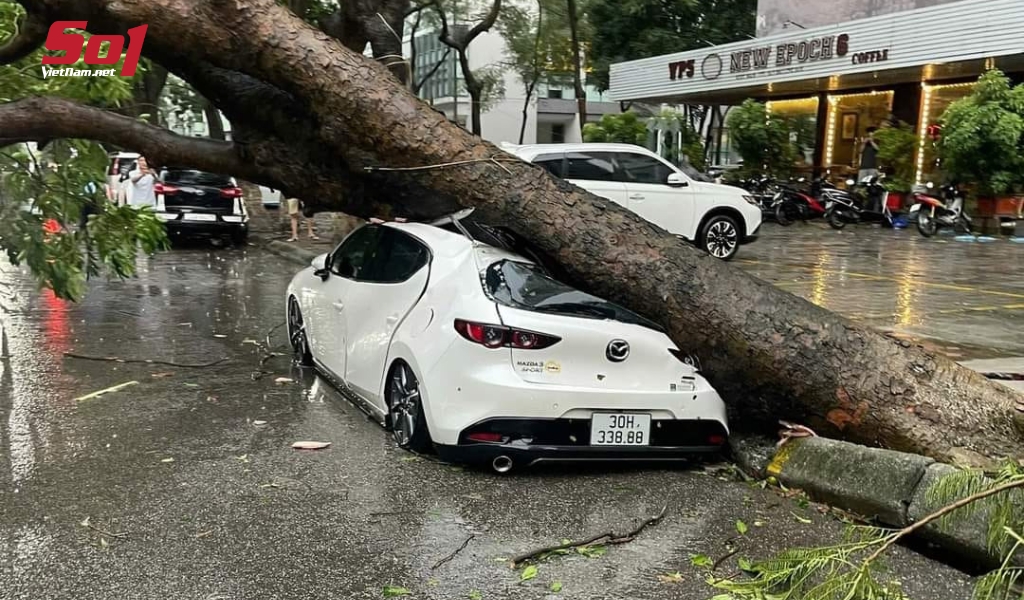 Mazda trị giá 700 triệu đồng bị đè bẹp, nhưng biển số trị giá 500 triệu đồng không hề giảm giá trị