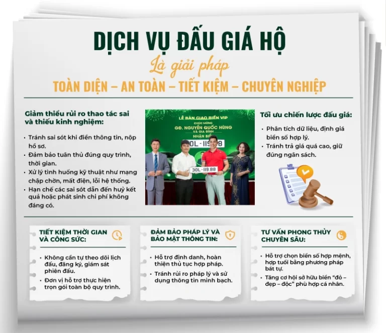 Ưu điểm của dịch vụ hỗ trợ đấu giá chuyên nghiệp tại Biendso1